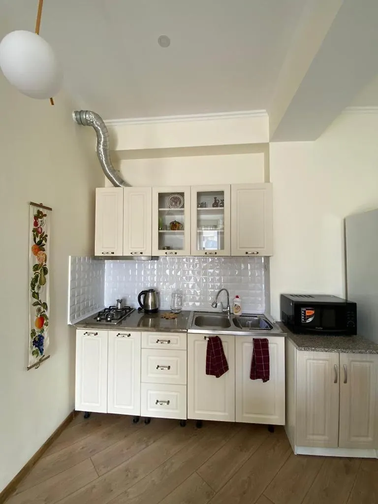 Apartment In City Center Near Technical University Metro Station Tiflis